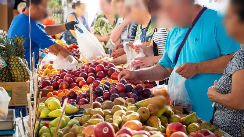 Foto de www.comunitatvalenciana.com